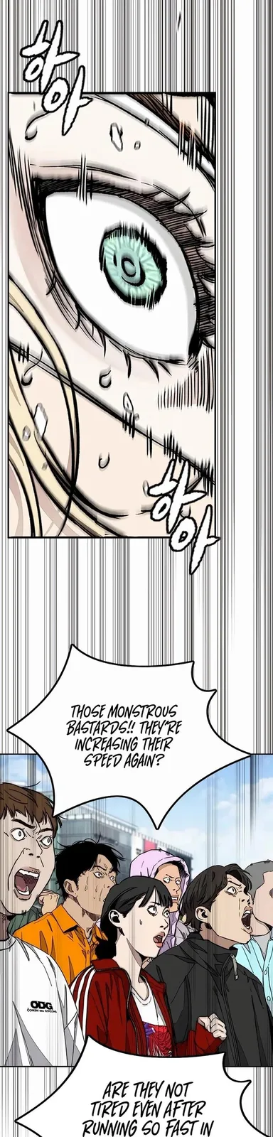 Chapter 531 - Page 39